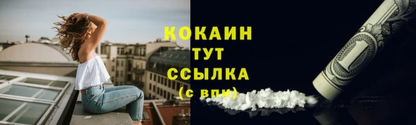 сатива Баксан