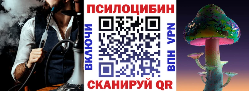 Псилоцибиновые грибы Cubensis  KRAKEN ONION  Олонец 